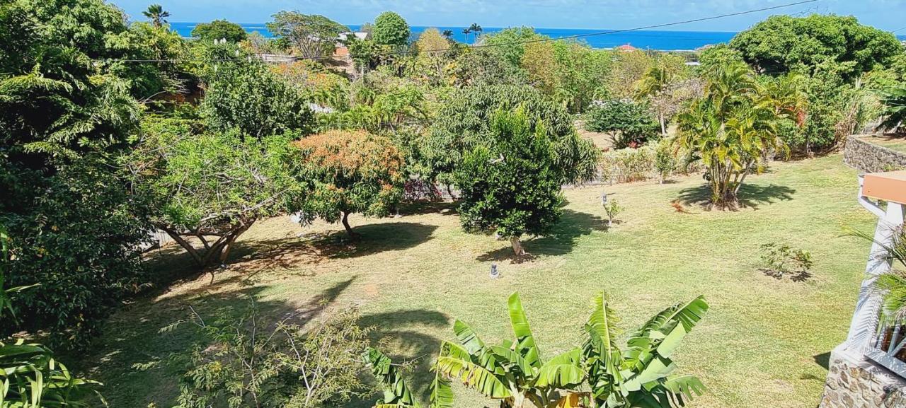 Les Hauts Du Cap Le Francois Ngoại thất bức ảnh